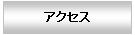 �A�N�Z�X